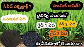 @100%pure seaweed extract powder 98%|humic acid 98%|ఒరిజినల్ ఏది తెలుసుకో రైతన్న లేకుంటే నష్టపోతావు