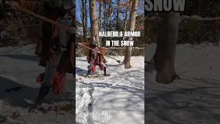 Halberd & Armor in the Snow