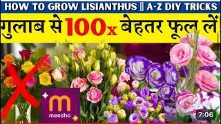 Grow Lisianthus From seeds | Best Winter Flower Seeds Review @SameerSinghGarden @chalobagwanikare