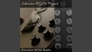 Infallible Instrumental Music for Playing Hide and Seek in Elevators