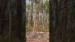 Ramnagar Jim Corbett Park