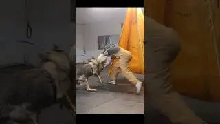 IGP 2 GSD Handles helper