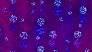 Wallflower Jam