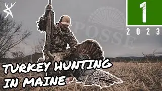 TURKEY HUNTING in Maine | Silent GOBBLER Sneaks In