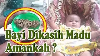 Awas Ternyata Memberikan Madu Untuk B4yi Berbahaya Loh !!.. Inilah Penyakit Yang Akan Timbul