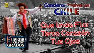 QUE LINDA FLOR - TERCO CORAZON - TUS OJOS / Concierto en Chile Eusebio 