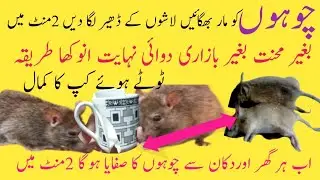 Don't miss this Secret Trick ! Get RidOF Mouse | kitchen Tips & HacksHomemade Quick Rat killer