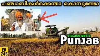 പഞ്ചാബികൾക്കെന്താ കൊമ്പുണ്ടോ ? EP 245 Panjab Village Tour Malayalam #malayalam #travel #village