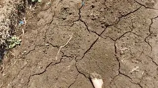 Barefoot in Mud (2025-05-21 14-13-12)