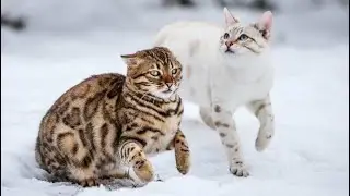 🧿Они знают, что сделали с тобой, и они справляются с этим | 🤡Одержимы только потому, что НЕ МОГУТ...