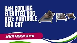 An honest review of K&H Cooling Elevated Dog Bed: Portable Indoor/Outdoor Dog Cot