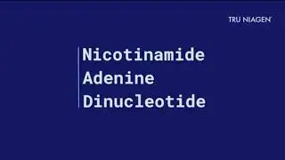 Supplement More Efficient Than NMN-Nicotinamide Riboside for Cellular Energy Metabolism & Repair.