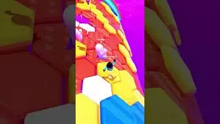 1v4 Hex-a-ring win #fallguys #fallguysgameplay