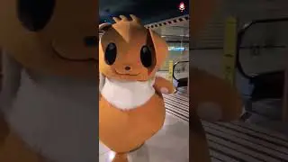 Pokemon Fursuits Super Cute Costumes Fauna Mascot
