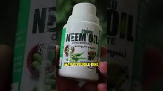 Neem Oil for Plants: Don't Make THIS Mistake! 🤯