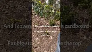 No Dig Garden Bed  #easygardening #notillgardening #nurselife