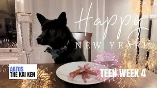 New Year&rsquo;s Eve with Aatos | Teen Week 4 🐾 Sausages, Traditions & Early Bedtime