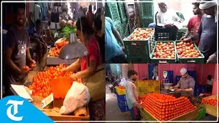 Tomato prices skyrocket across country