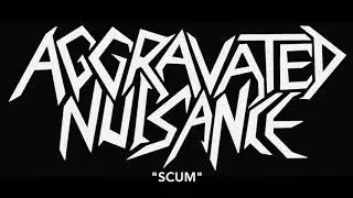 Aggravated Nuisance - 