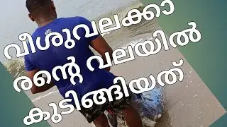 പരപ്പനങ്ങാടിയിൽ വീശുവലകാരന്റെ വലയിൽ കുടുങ്ങിയത് | Haris fish world