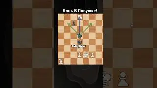3 Блестящих Хода Для Победы!