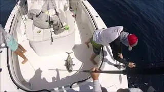 MY NEW SALTX6000 REEL ON SOME TUNA!!  XRAP GETTING IT DONE AGAIN
