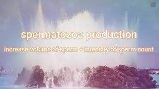 Spermatozoa : increanse sperm volume, concentration, Amount, Motility, Morphology, Total sperm count
