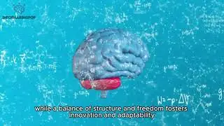 The Art of Learning An Inner Journey to Optimal Performance