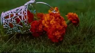 አሰላም አለይኩም ወራህመቱላሂ ወበረካትሁ