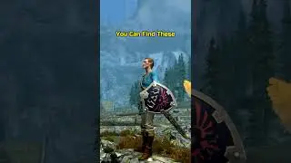Специальные предметы Skyrim на Nintendo #nintendo #gaming #skyrim #rpg #shorts