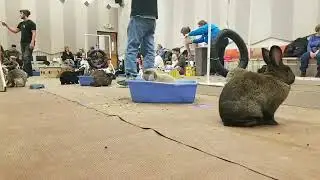 MCRS Golden Valley Hoppy Hour 2019