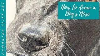 HOW TO draw a Dog's Nose | REAL TIME Tutorial | Samantha Clift Art