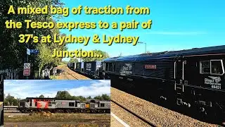 Lydney & Lydney Junction, a fantastic day so much to see, from Class 37's to the Tesco Express!