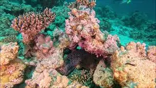 10 ans Divemania jour 4
