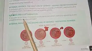 What is immunity? Innate immunity #explore #biology #oxfordscience