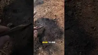 Подземные корневые пожары 🤯