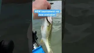 New bass tournament video! #kayakfishing #fishing #basstournament #fishingtournament  #funfishing