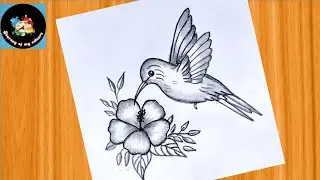 How to Draw Easy Bird And Flower Step by Step With Pencil Sketch / Easy Bird Drawing.