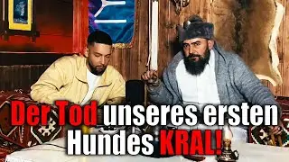 ,,Der TOD unseres HUNDES KRAL..'' #EMDS14