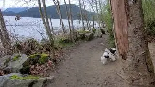 The best dog park in greater Vancouver - outdoor dog trail along the water