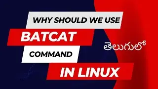 Why we should use BatCat in Linux