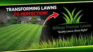 This Lawn Needed HELP&hellip; Here&rsquo;s What Happened 👀