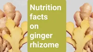 NUTRITION FACTS ON GINGER RHIZOME