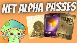 NFT Alpha Passes are GREAT Investments! - We dive into your options!