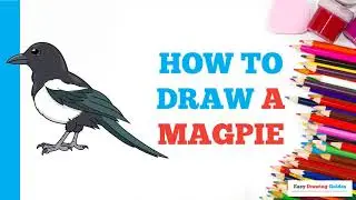 How to Draw a Magpie: Easy Step by Step Drawing Tutorial for Beginners