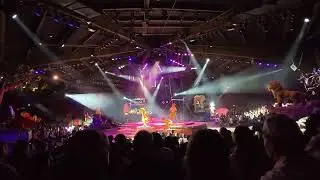 Hakuna Matata at the Lion King Show in Disney's Animal Kingdom