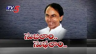 CM KCR Review on Water Grid Project : TV5 News