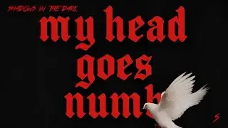 Shadows In The Dark - My Head Goes Numb 🕊️ (OFFICIAL LYRICS VIDEO) N.o 37