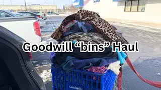 One of my better Goodwill outlet hauls | Goodwill bins haul | Full time reseller