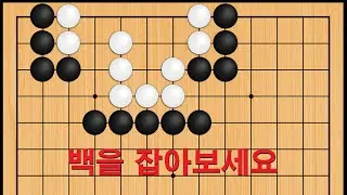 바둑 묘수 사활 - 필사즉생 묘수가 나옵니다. 백을 잡아보세요